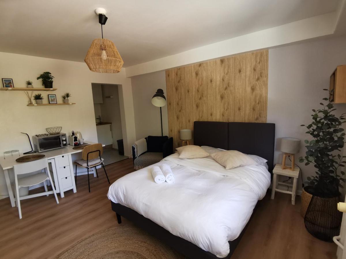 Marnesia - Studio Avec Vue Sur Les Quais Štrasburk Exteriér fotografie